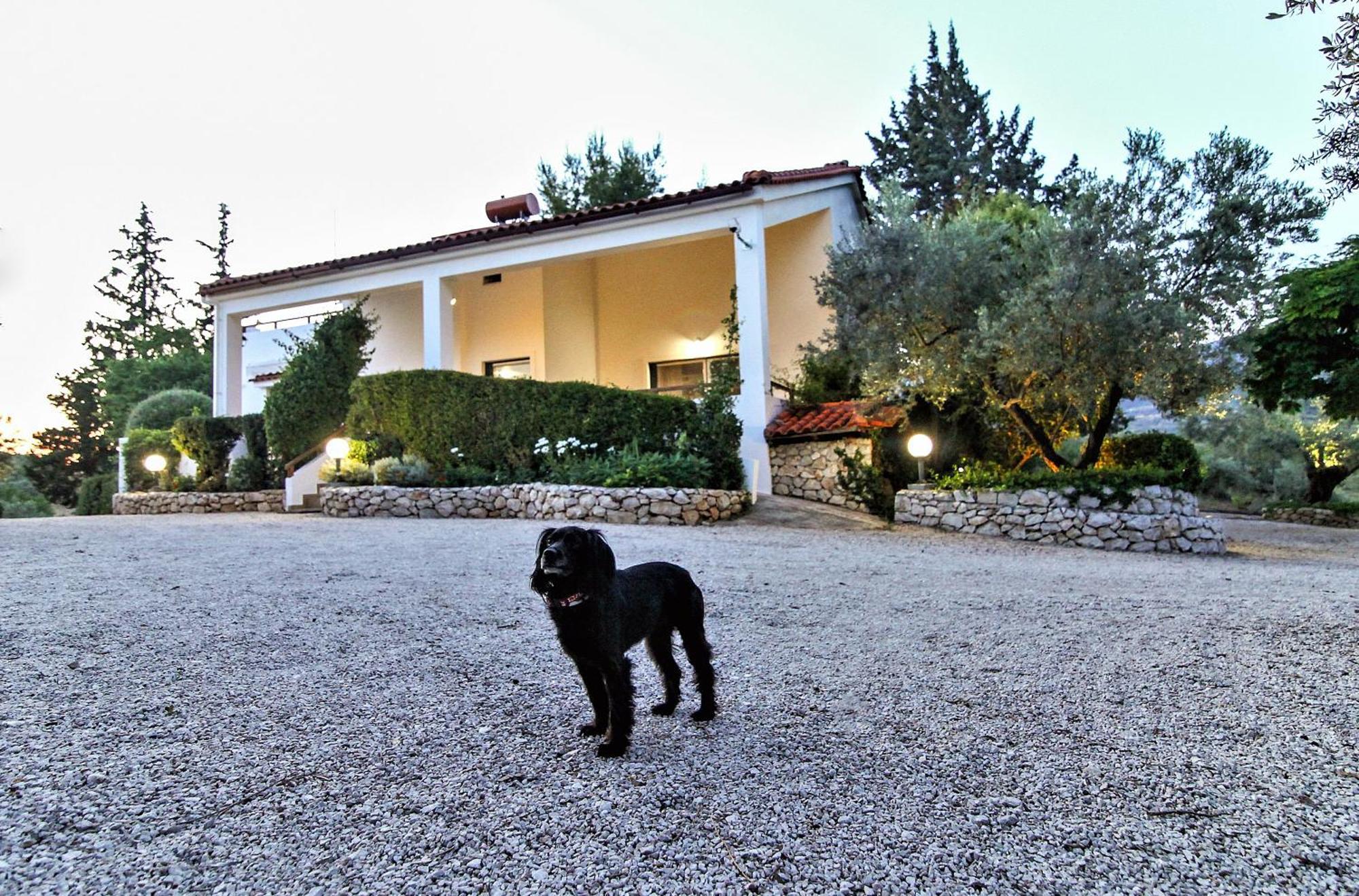 Villa Korina Metochi  Zewnętrze zdjęcie
